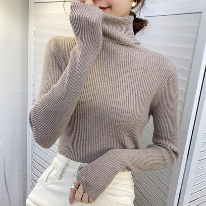 Women's turtleneck sweater, long-sleeved, plus sizes