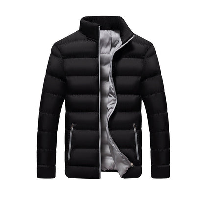Men's quilted jacket, stand-up collar, padded, for leisure