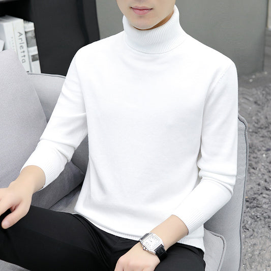 Men's turtleneck sweater, long-sleeved, slim fit