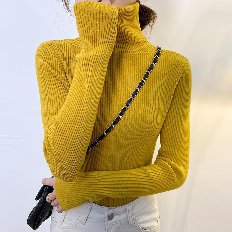 Women's turtleneck sweater, long-sleeved, plus sizes