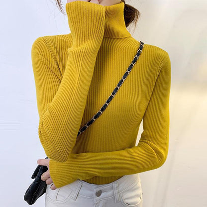 Women's turtleneck sweater, long-sleeved, plus sizes