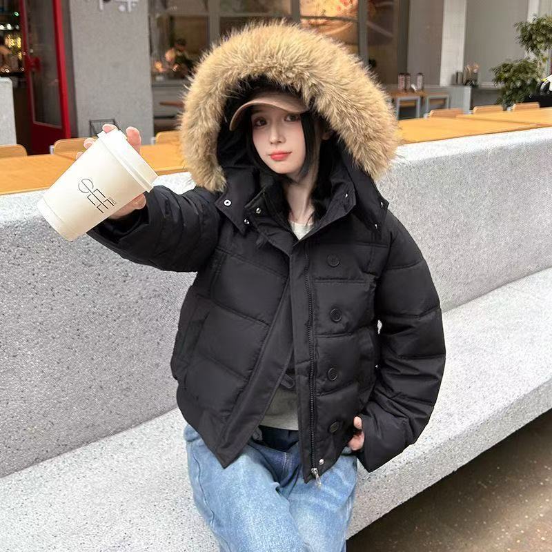Short women's winter jacket with large collar