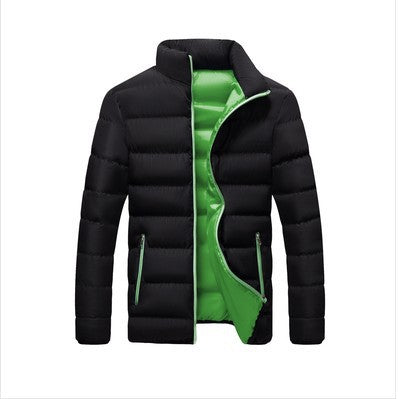 Men's quilted jacket, stand-up collar, padded, for leisure