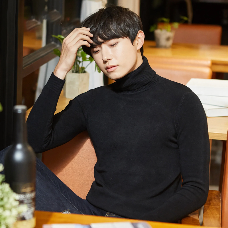 Men's turtleneck sweater, lined, warm