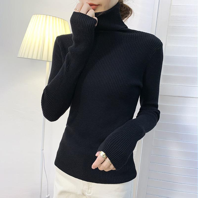 Women's turtleneck sweater, long-sleeved, plus sizes