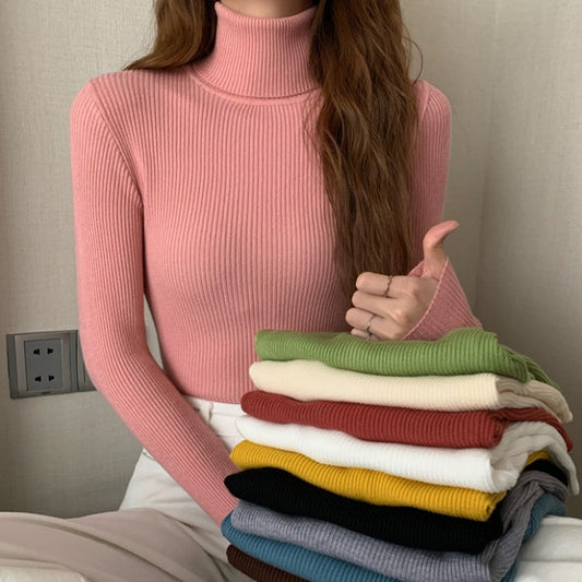 Classic women's knit pullover with roll neck