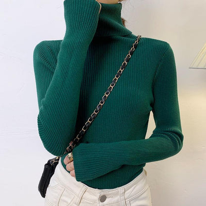 Women's turtleneck sweater, long-sleeved, plus sizes