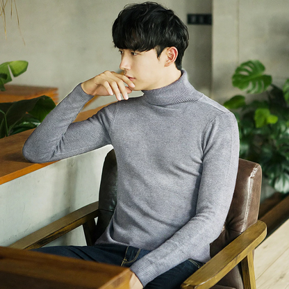 Men's turtleneck sweater, lined, warm