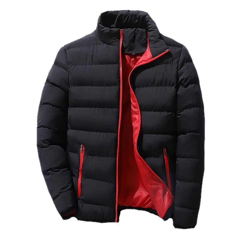 Men's quilted jacket, stand-up collar, padded, for sports