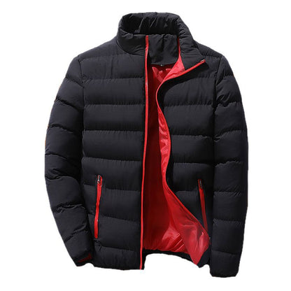 Men's padded jacket, stand-up collar, lined, for sports