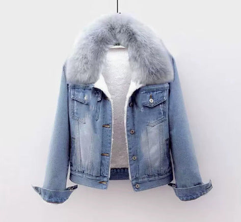 Fleece-lined women's denim jacket with fur collar, short