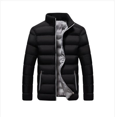 Men's quilted jacket, stand-up collar, padded, for leisure