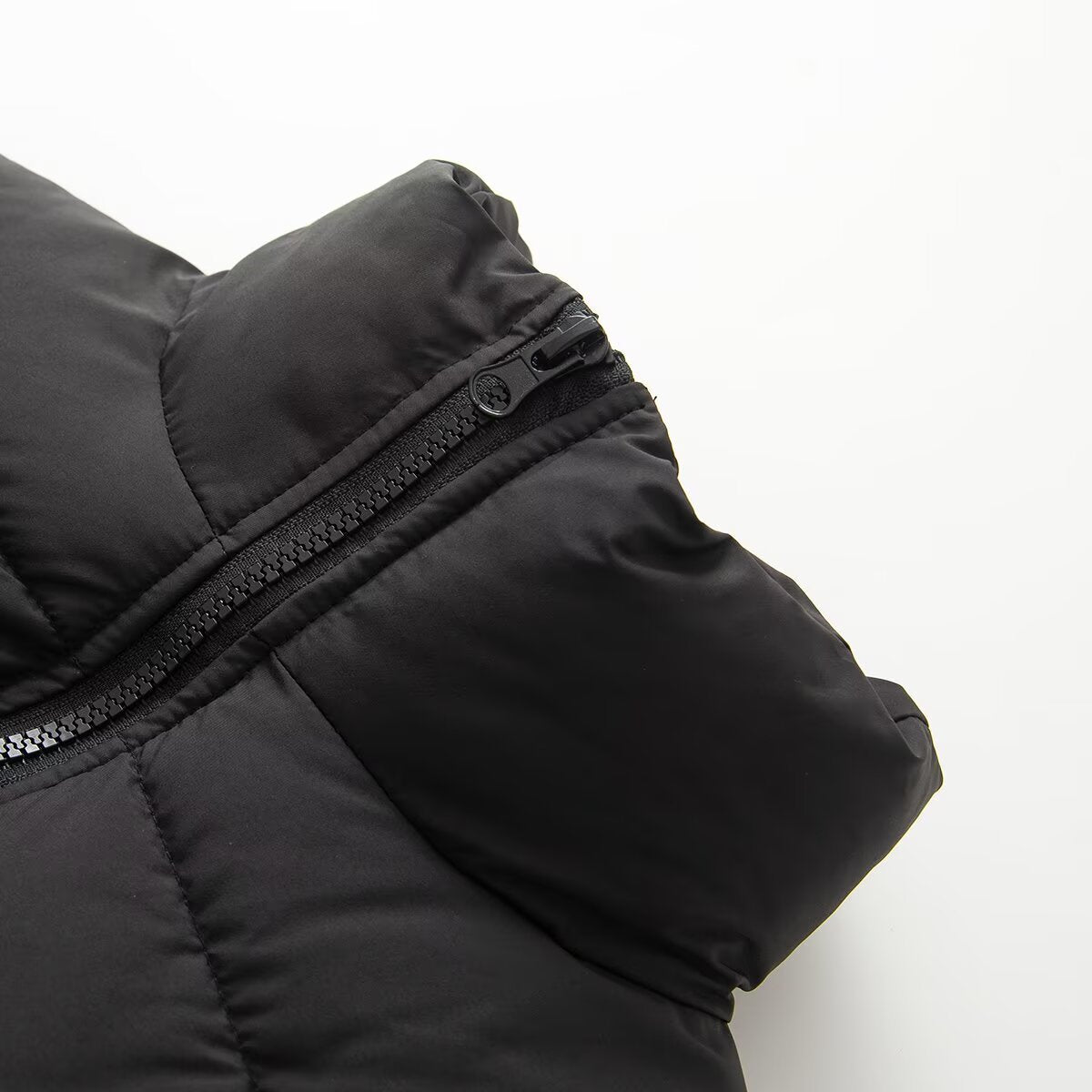 Women's short quilted jacket with a tailored corset-cut silhouette and high stand-up collar EVA-US