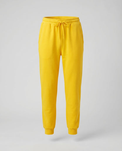 Product 15583599198538 - product_only