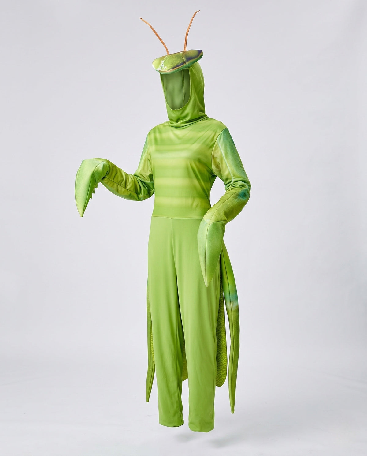 Women's insect costume as praying mantis with headpiece and wings EVA-US