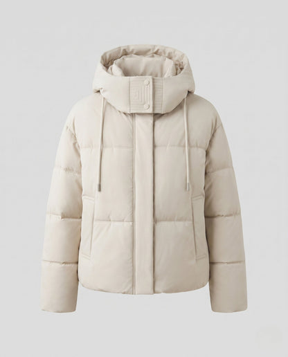 Product 15966038524234 - product_only