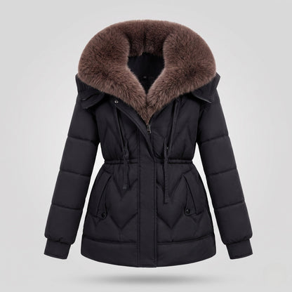 Product 15966032757066 - product_only