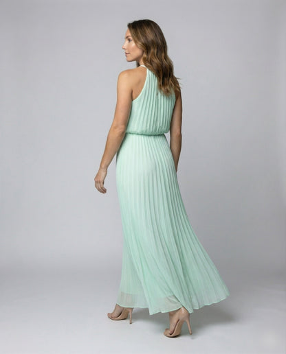 Women's Long Pleated Gala Maxi Dress - back view